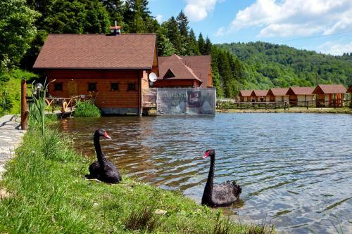 Hotel Osonnya Karpaty