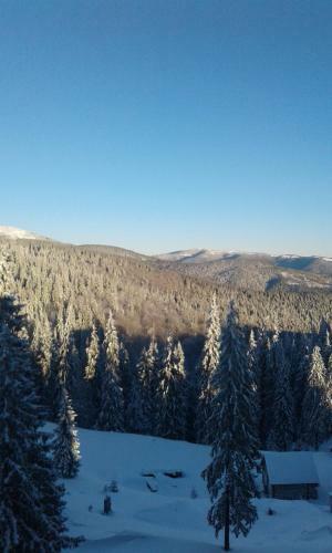 Hotel Adrenalin