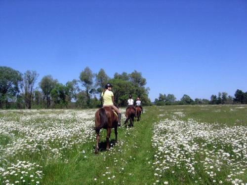 Agroturismo Eco Dom V Lesu