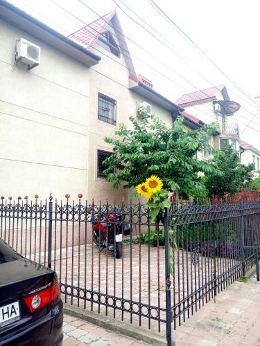 Bed & Breakfast Hotel Om Shanti