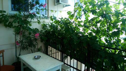 Hotel Unico Family Quest
