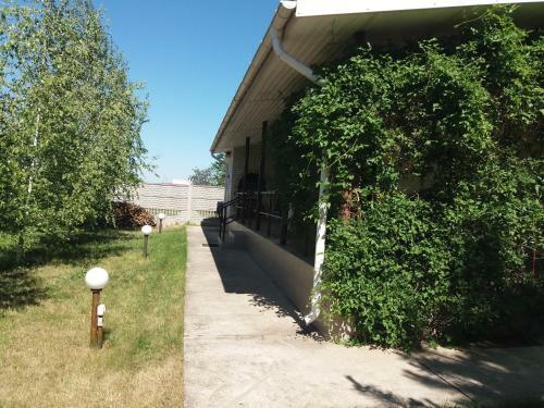 Hostal Oasis