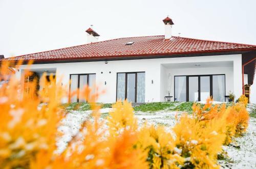 Lodge Krayka House