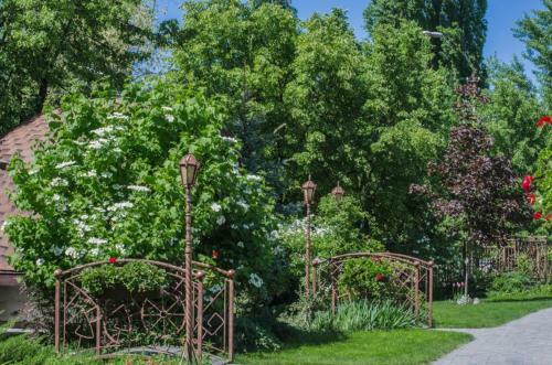 Bed & Breakfast Charivna Taistra