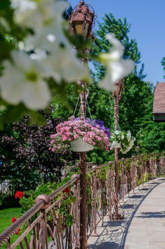 Bed & Breakfast Charivna Taistra