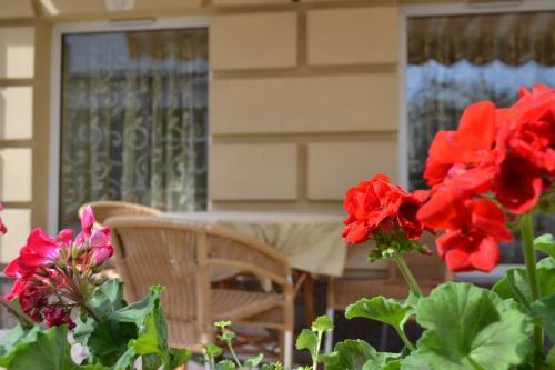 Hotel Irena