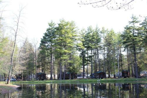 Alpine Lake Lakefront Cabin 9