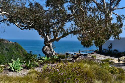 Sea Cliff