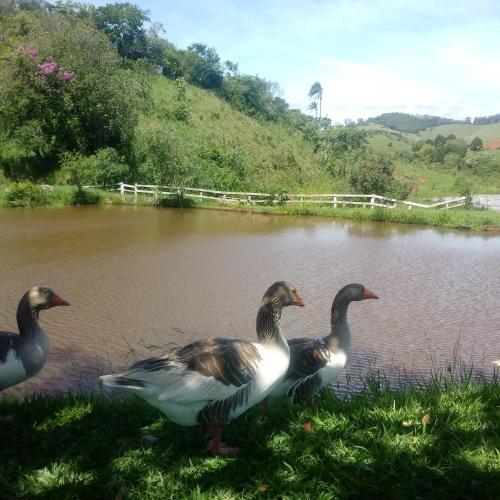 Agroturismo Pousada Fazenda Serra Que Chora
