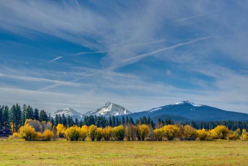 Glaze Meadow 7