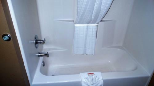 Hotel Oak Tree Inn & Suites