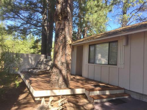 4 Pine Ridge