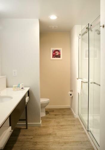 Hotel Hampton Inn Lebanon