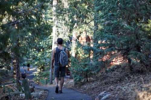 Evergreen Lodge At Yosemite