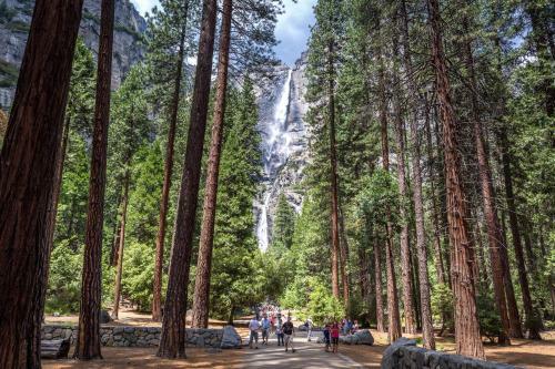 Evergreen Lodge At Yosemite