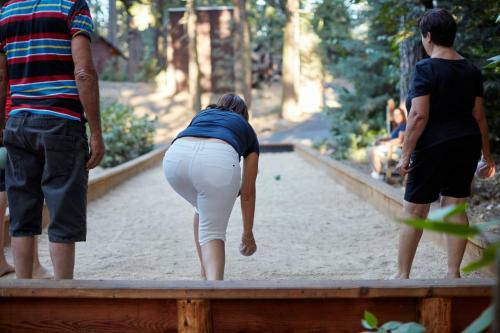 Evergreen Lodge At Yosemite