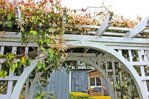 Dungeness Barn House Bed And Breakfast
