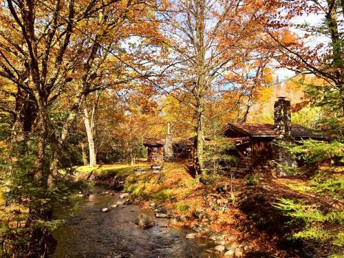 Lodge Rustic Log Cabins