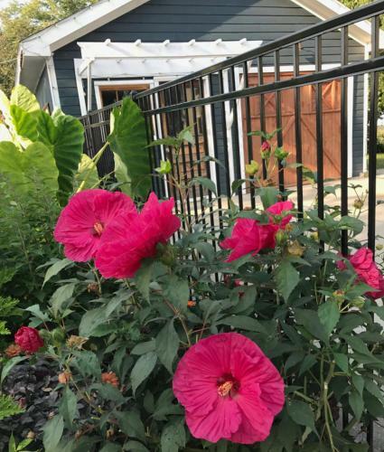 Bed & Breakfast Netherfield Natural Farm