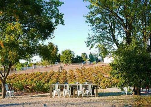 The Olio At Dudley Vineyard