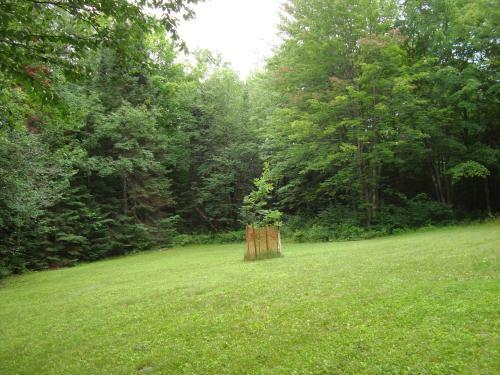 Grandpa Jim's Cabin