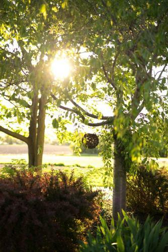 Yale Manor B&B & Yurt Glamping