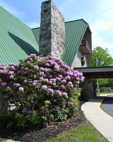 Hotel Alpine Lake Resort