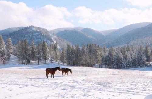 Lodge Riverview Ranch