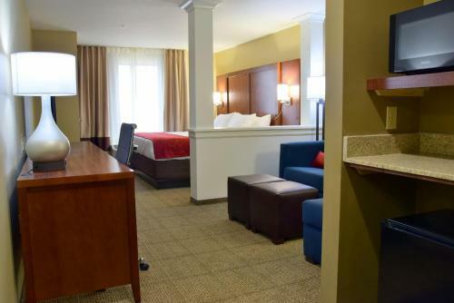 Hotel Comfort Suites Near Rainbow Springs Dunnellon