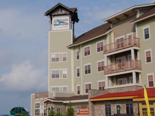 Soaring Eagle #204