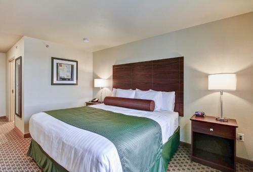 Cobblestone Hotel & Suites - Pulaski