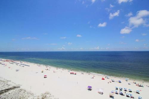 Tradewinds 1102