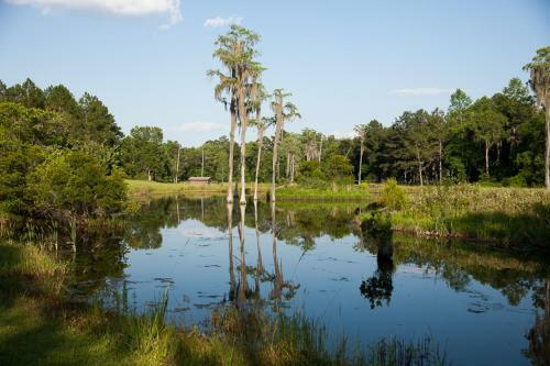 Live Oak Bed And Breakfast