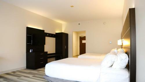 Hotel Holiday Inn Express & Suites Kingston-ulster