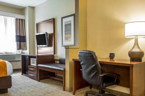 Hotel Comfort Suites At The University