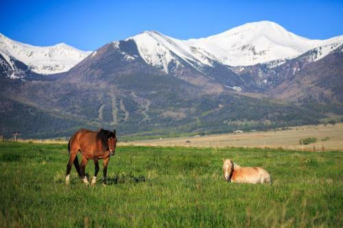 Hillside Colorado Cottages
