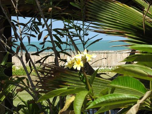 Hostal Pousada Vila Vagalume