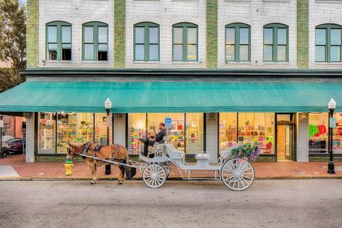 Savannah Comfort