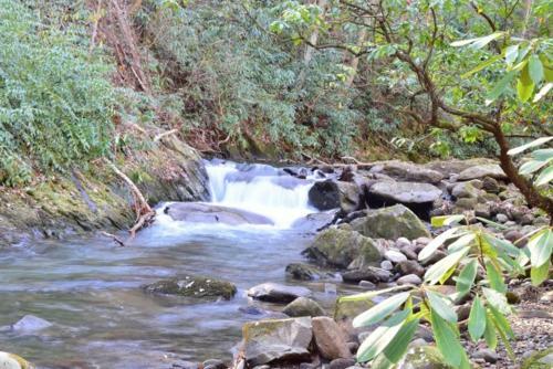 Buffalo Creek Bed And Breakfast