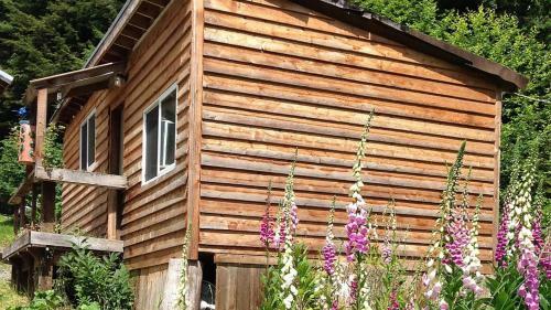 Hostal Hollis Creek Cabin