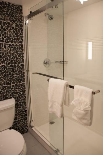 Hotel Hilton Garden Inn Springfield