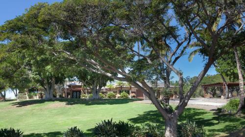 Villa Hawaii Happy Healthy House