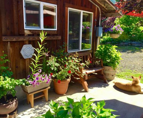 Hostal Bond Ranch Retreat