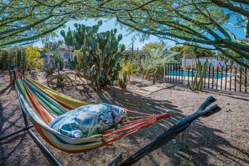 Cactus Cottage