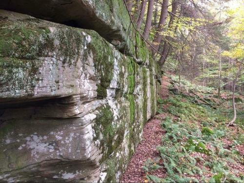 Tentrr - Swinging Bridge Sanctuary