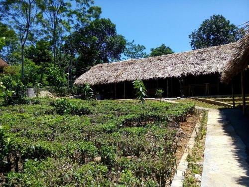 Family Homestay
