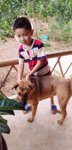 Family Homestay