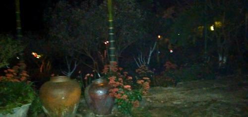 Family Homestay