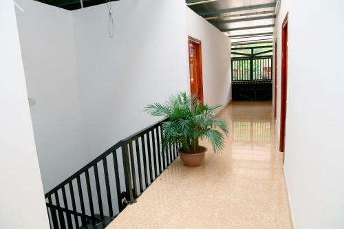 Giang Son Hostel