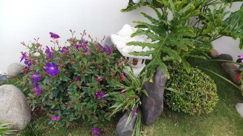 Bed & Breakfast Sakura Homestay
